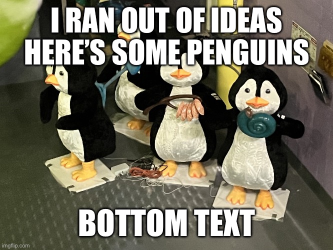 Penguin | I RAN OUT OF IDEAS HERE’S SOME PENGUINS; BOTTOM TEXT | image tagged in penguin | made w/ Imgflip meme maker