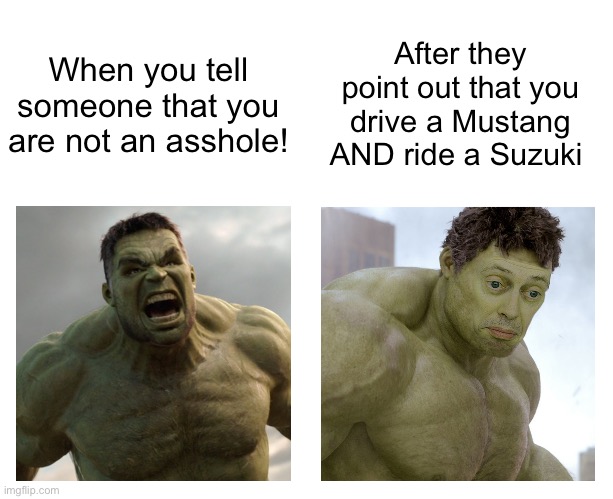 Hulk angry then realizes he's wrong | After they point out that you drive a Mustang AND ride a Suzuki; When you tell someone that you are not an asshole! | image tagged in hulk angry then realizes he's wrong,mustang,suzuki | made w/ Imgflip meme maker