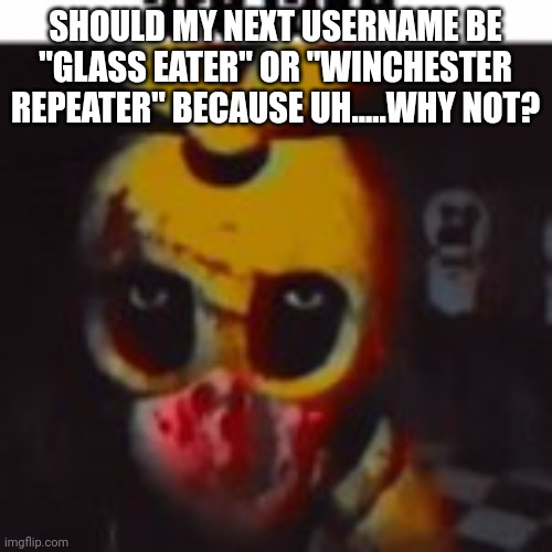 SHOULD MY NEXT USERNAME BE "GLASS EATER" OR "WINCHESTER REPEATER" BECAUSE UH.....WHY NOT? | made w/ Imgflip meme maker