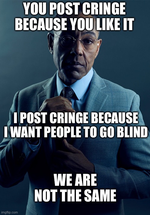 Gus Fring we are not the same | YOU POST CRINGE BECAUSE YOU LIKE IT I POST CRINGE BECAUSE I WANT PEOPLE TO GO BLIND WE ARE NOT THE SAME | image tagged in gus fring we are not the same | made w/ Imgflip meme maker