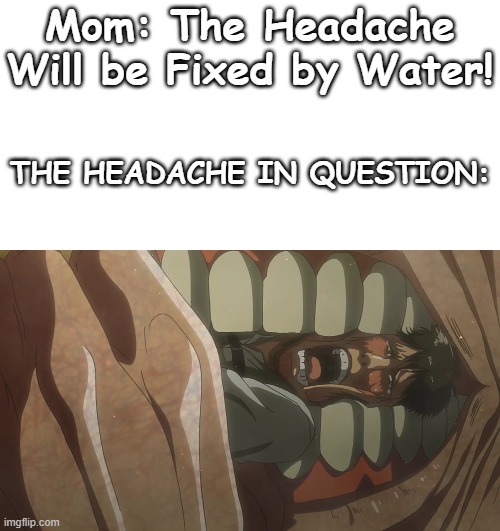 Owie! | Mom: The Headache Will be Fixed by Water! THE HEADACHE IN QUESTION: | image tagged in attack on titan,aot,shingeki no kyojin,snk,pain | made w/ Imgflip meme maker