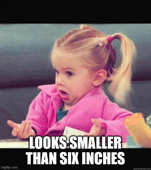 I dont know girl | LOOKS SMALLER THAN SIX INCHES | image tagged in i dont know girl | made w/ Imgflip meme maker