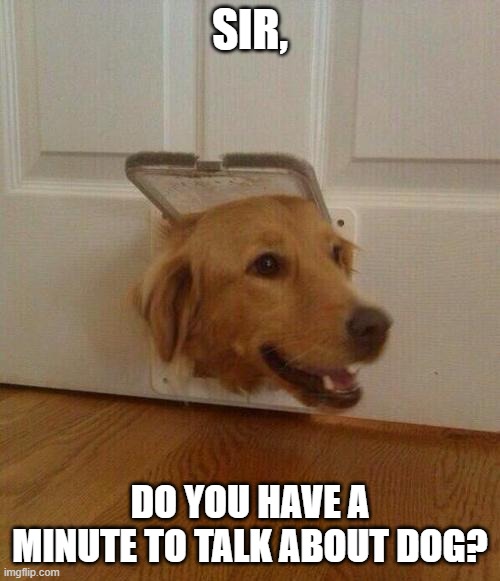 Dog door | SIR, DO YOU HAVE A MINUTE TO TALK ABOUT DOG? | image tagged in dog door,funny dog,god,can we talk,surprise | made w/ Imgflip meme maker