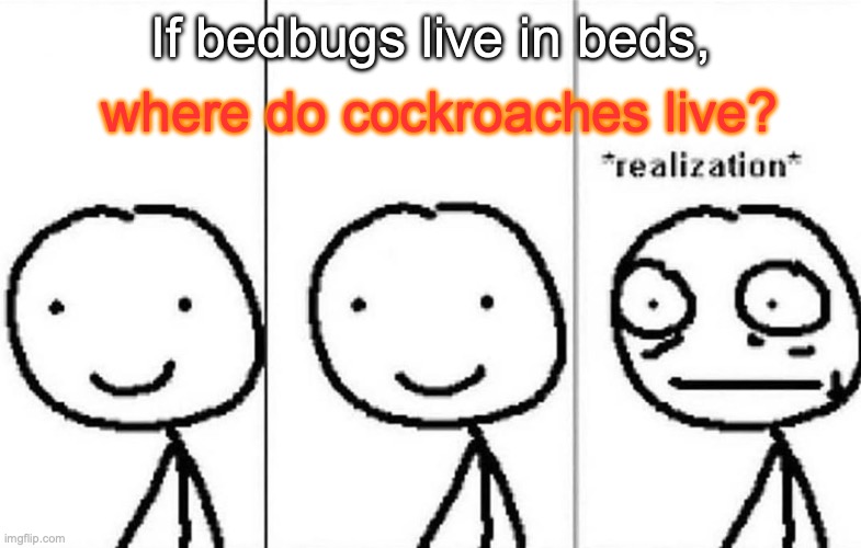 omg | where do cockroaches live? If bedbugs live in beds, | image tagged in realization | made w/ Imgflip meme maker