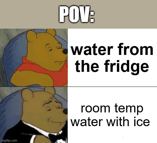 facts | POV:; water from the fridge; room temp water with ice | image tagged in kids | made w/ Imgflip meme maker