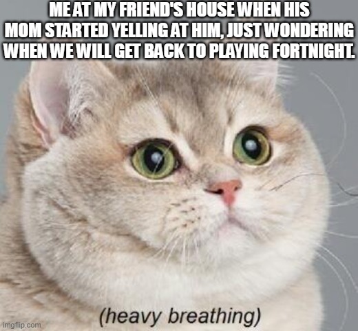 Heavy Breathing Cat | ME AT MY FRIEND'S HOUSE WHEN HIS MOM STARTED YELLING AT HIM, JUST WONDERING WHEN WE WILL GET BACK TO PLAYING FORTNIGHT. | image tagged in memes,heavy breathing cat | made w/ Imgflip meme maker