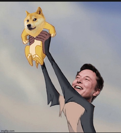 Basically what happened. | image tagged in dogecoin,to the moon,memes,funny,elon musk | made w/ Imgflip meme maker