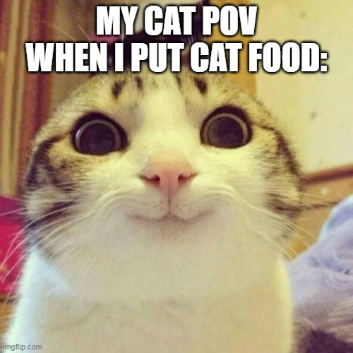 my cat is hungry | MY CAT POV WHEN I PUT CAT FOOD: | image tagged in memes,smiling cat | made w/ Imgflip meme maker