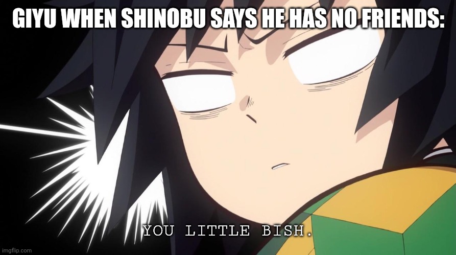 Tomioka you bish | GIYU WHEN SHINOBU SAYS HE HAS NO FRIENDS:; YOU LITTLE BISH. | image tagged in tomioka shocked | made w/ Imgflip meme maker