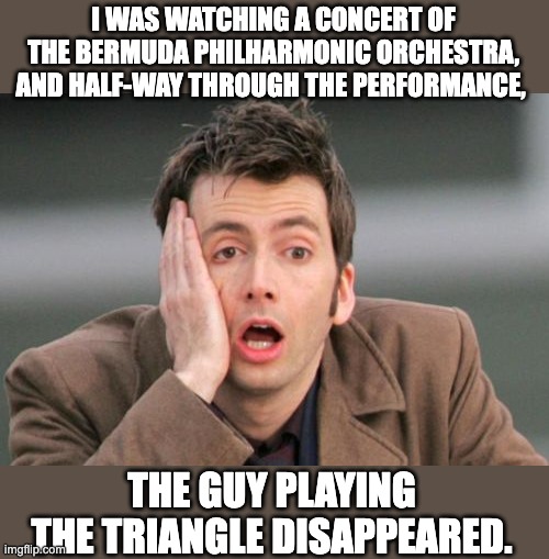 Triangle | I WAS WATCHING A CONCERT OF THE BERMUDA PHILHARMONIC ORCHESTRA, AND HALF-WAY THROUGH THE PERFORMANCE, THE GUY PLAYING THE TRIANGLE DISAPPEARED. | image tagged in face palm | made w/ Imgflip meme maker