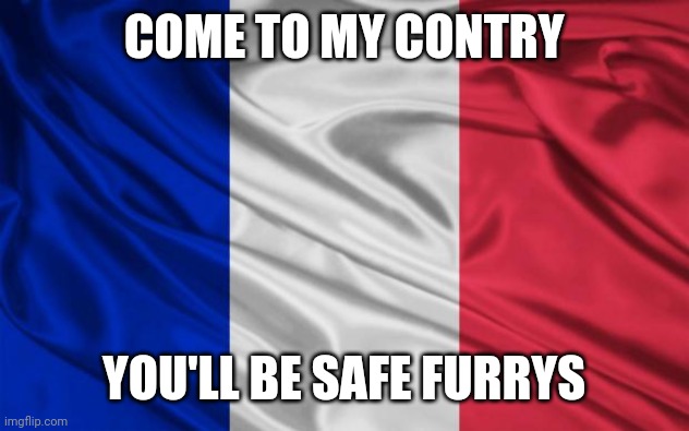 french flag | COME TO MY CONTRY YOU'LL BE SAFE FURRYS | image tagged in french flag | made w/ Imgflip meme maker