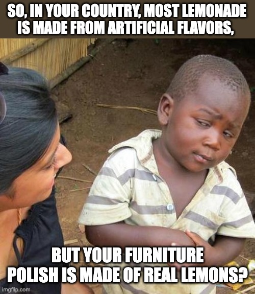 Only in America | SO, IN YOUR COUNTRY, MOST LEMONADE IS MADE FROM ARTIFICIAL FLAVORS, BUT YOUR FURNITURE POLISH IS MADE OF REAL LEMONS? | image tagged in memes,third world skeptical kid | made w/ Imgflip meme maker