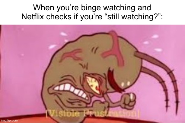 LET ME WATCH SONIC PRIME- | When you’re binge watching and Netflix checks if you’re “still watching?”: | image tagged in visible frustration | made w/ Imgflip meme maker