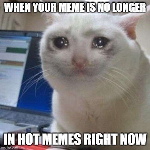 I HATED THAT | WHEN YOUR MEME IS NO LONGER; IN HOT MEMES RIGHT NOW | image tagged in crying cat,memes | made w/ Imgflip meme maker