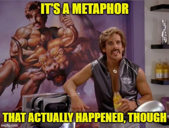It's a metaphor | IT'S A METAPHOR; THAT ACTUALLY HAPPENED, THOUGH | image tagged in dodgeball,ben stiller | made w/ Imgflip meme maker