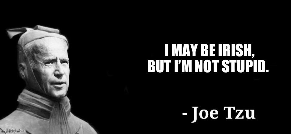 Joe Tzu | I MAY BE IRISH, BUT I’M NOT STUPID. | image tagged in joe tzu | made w/ Imgflip meme maker