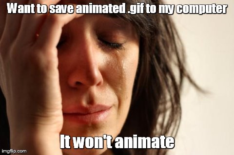 First World Problems | Want to save animated .gif to my computer It won't animate | image tagged in memes,first world problems | made w/ Imgflip meme maker