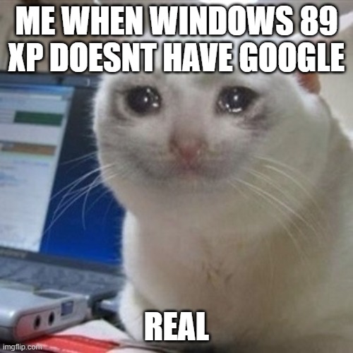 windows 89 xp | ME WHEN WINDOWS 89 XP DOESNT HAVE GOOGLE; REAL | image tagged in crying cat | made w/ Imgflip meme maker