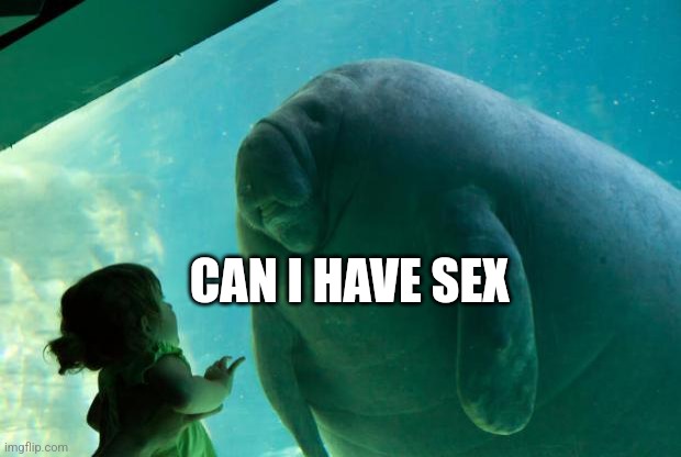 Overlord Manatee | CAN I HAVE SEX | image tagged in overlord manatee | made w/ Imgflip meme maker