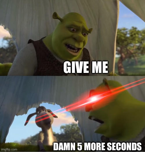 Shrek For Five Minutes | GIVE ME DAMN 5 MORE SECONDS | image tagged in shrek for five minutes | made w/ Imgflip meme maker