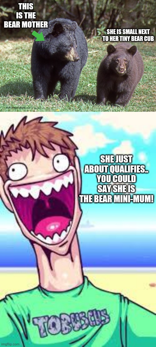 Bearely | THIS IS THE BEAR MOTHER; SHE IS SMALL NEXT TO HER TINY BEAR CUB; SHE JUST ABOUT QUALIFIES.. YOU COULD SAY SHE IS THE BEAR MINI-MUM! | image tagged in hahaha,bear memes | made w/ Imgflip meme maker