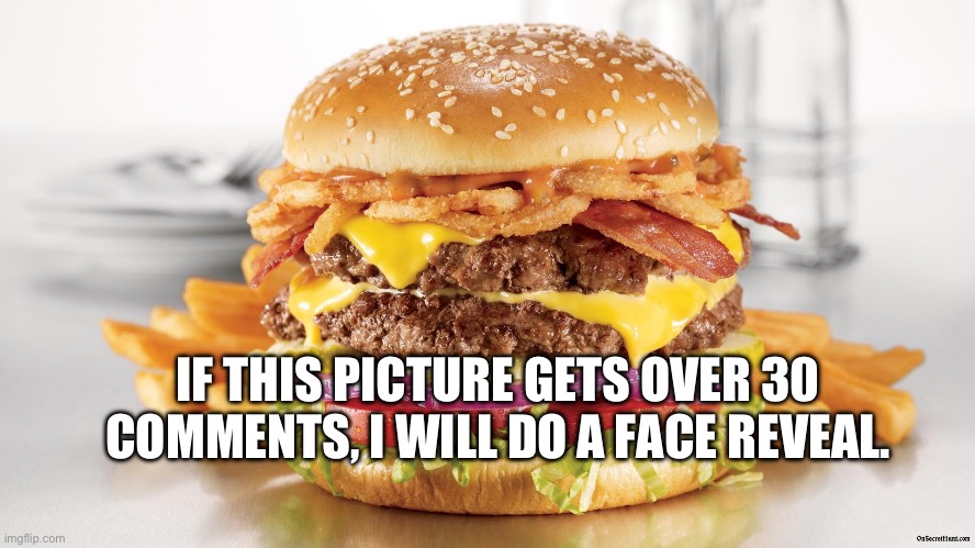 Face Reveal | IF THIS PICTURE GETS OVER 30 COMMENTS, I WILL DO A FACE REVEAL. | image tagged in burger fries,face reveal,burger,comment | made w/ Imgflip meme maker