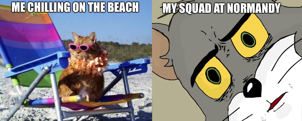 He got angry | ME CHILLING ON THE BEACH; MY SQUAD AT NORMANDY | image tagged in beach cat,memes,unsettled tom | made w/ Imgflip meme maker