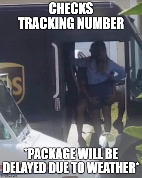 CHECKS TRACKING NUMBER; *PACKAGE WILL BE DELAYED DUE TO WEATHER* | image tagged in ups,usps,package,tracking | made w/ Imgflip meme maker