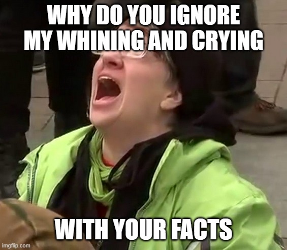 Crying liberal | WHY DO YOU IGNORE MY WHINING AND CRYING WITH YOUR FACTS | image tagged in crying liberal | made w/ Imgflip meme maker