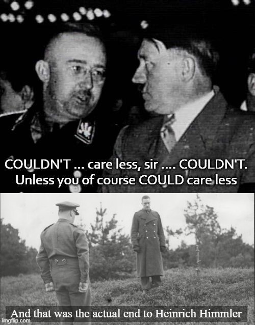 "I could care less" | And that was the actual end to Heinrich Himmler | image tagged in grammar nazi,nazis,funny | made w/ Imgflip meme maker