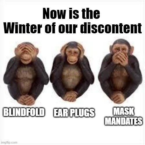 Look, on the Horizon, Totalitarian Atrocities due to Cultural Imperialism | Now is the 
Winter of our discontent; MASK
MANDATES; BLINDFOLD; EAR PLUGS | image tagged in just chillin',astrology,karl marx,cultural marxism,hegemony,liberty | made w/ Imgflip meme maker