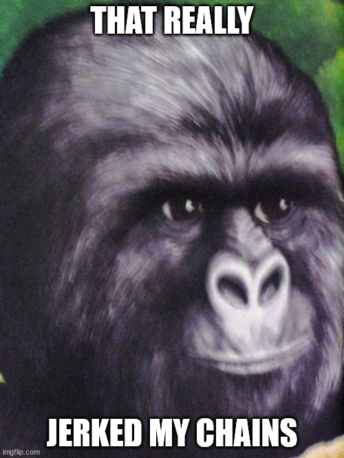 That really rustled my jimmies! | THAT REALLY; JERKED MY CHAINS | image tagged in that really rustled my jimmies | made w/ Imgflip meme maker