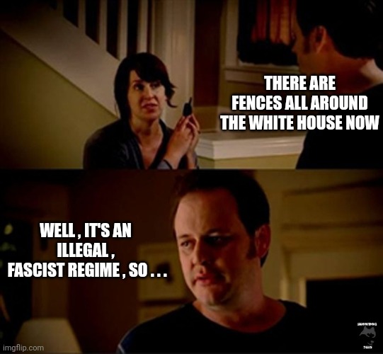 well he's a guy so... | THERE ARE FENCES ALL AROUND THE WHITE HOUSE NOW WELL , IT'S AN ILLEGAL ,
 FASCIST REGIME , SO . . . | image tagged in well he's a guy so | made w/ Imgflip meme maker