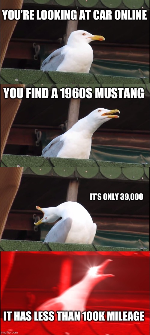 Inhaling Seagull | YOU’RE LOOKING AT CAR ONLINE; YOU FIND A 1960S MUSTANG; IT’S ONLY 39,000; IT HAS LESS THAN 100K MILEAGE | image tagged in memes,inhaling seagull | made w/ Imgflip meme maker