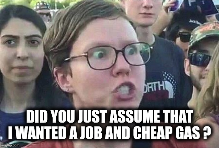 Triggered Liberal | DID YOU JUST ASSUME THAT I WANTED A JOB AND CHEAP GAS ? | image tagged in triggered liberal | made w/ Imgflip meme maker