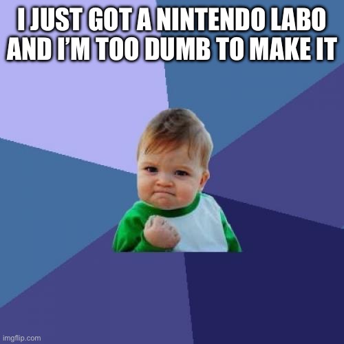Success Kid Meme | I JUST GOT A NINTENDO LABO AND I’M TOO DUMB TO MAKE IT | image tagged in memes,success kid | made w/ Imgflip meme maker