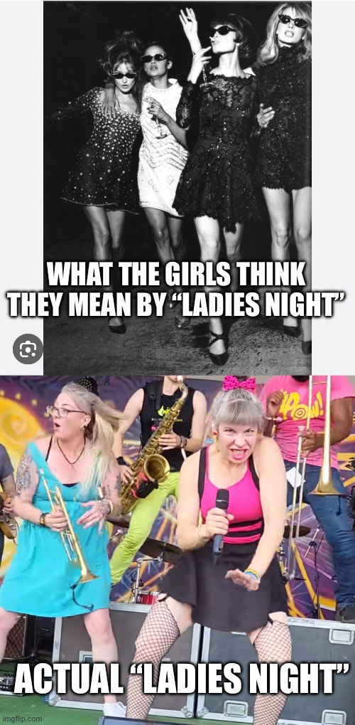 Ladies night | WHAT THE GIRLS THINK THEY MEAN BY “LADIES NIGHT”; ACTUAL “LADIES NIGHT” | image tagged in ladies,old ladies | made w/ Imgflip meme maker