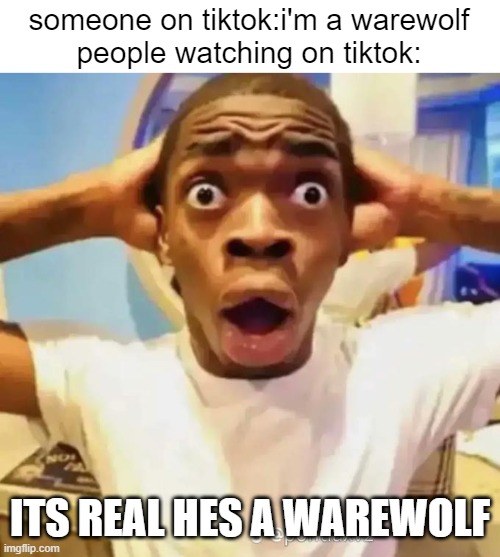 idiots | someone on tiktok:i'm a warewolf
people watching on tiktok:; ITS REAL HES A WAREWOLF | image tagged in shocked black guy | made w/ Imgflip meme maker