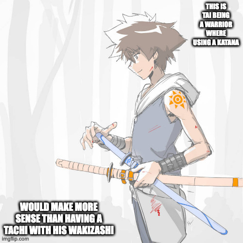Tai With Swords | image tagged in digimon,tai yagami,memes | made w/ Imgflip meme maker