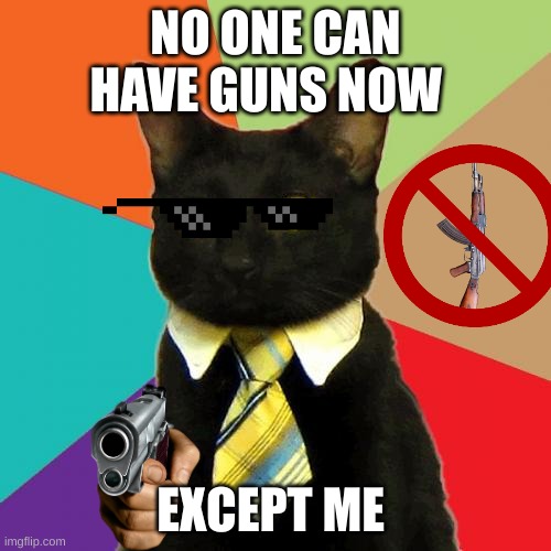 Business Cat Meme | NO ONE CAN HAVE GUNS NOW; EXCEPT ME | image tagged in memes,business cat | made w/ Imgflip meme maker