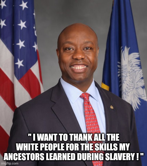 Tim Scott | " I WANT TO THANK ALL THE WHITE PEOPLE FOR THE SKILLS MY  ANCESTORS LEARNED DURING SLAVERY ! " | image tagged in senator tim scott - american hero,loser | made w/ Imgflip meme maker