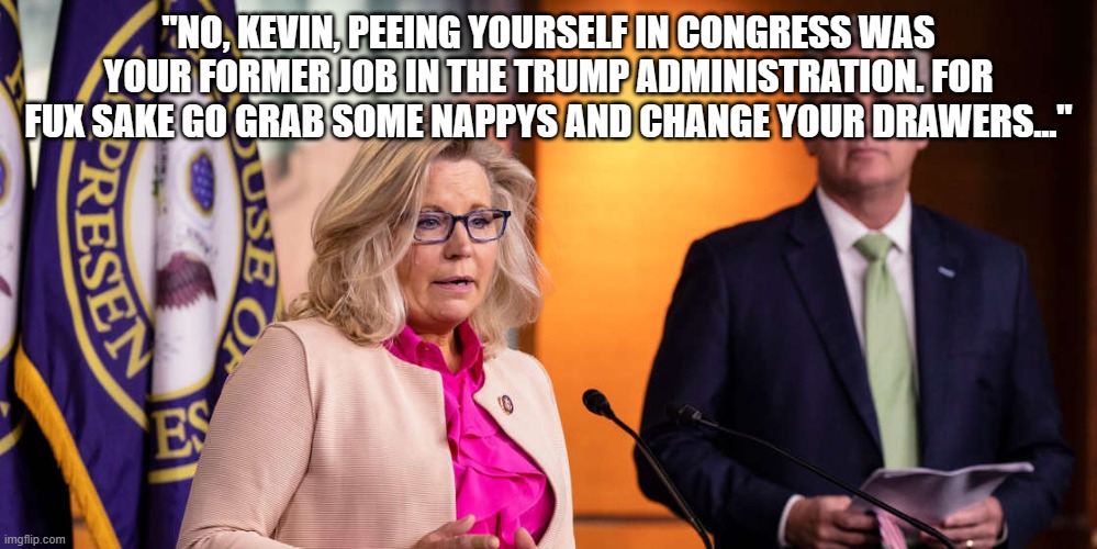 Liz Cheney Kevin McCarthy | "NO, KEVIN, PEEING YOURSELF IN CONGRESS WAS YOUR FORMER JOB IN THE TRUMP ADMINISTRATION. FOR FUX SAKE GO GRAB SOME NAPPYS AND CHANGE YOUR DRAWERS..." | image tagged in liz cheney kevin mccarthy | made w/ Imgflip meme maker