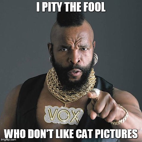 Mr T Pity The Fool | I PITY THE FOOL WHO DON'T LIKE CAT PICTURES | image tagged in memes,mr t pity the fool | made w/ Imgflip meme maker