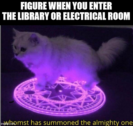 This is just standard roblox | FIGURE WHEN YOU ENTER THE LIBRARY OR ELECTRICAL ROOM | image tagged in whomst has summoned the almight one,meat,roblox,doors | made w/ Imgflip meme maker