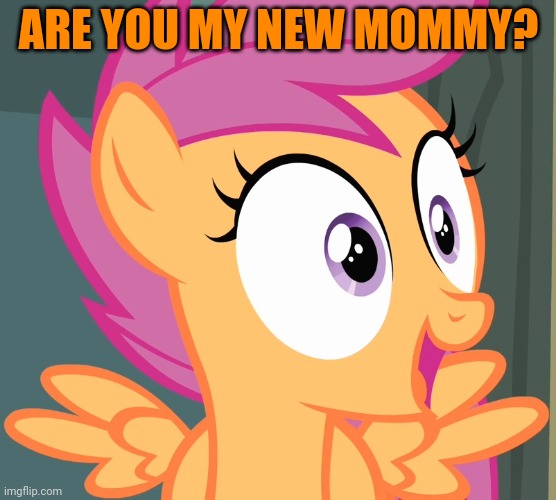 scootaloo's happy face | ARE YOU MY NEW MOMMY? | image tagged in scootaloo's happy face | made w/ Imgflip meme maker