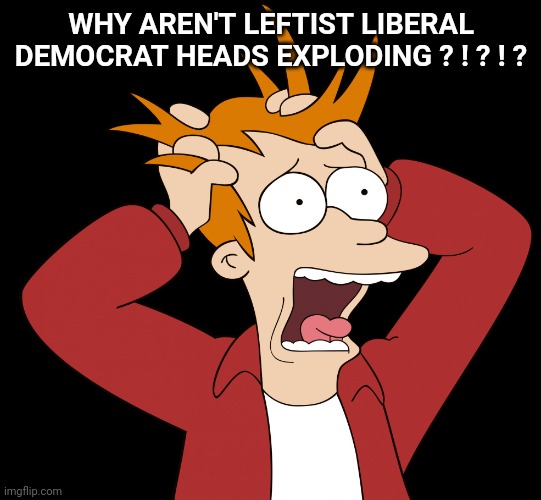 Futurama Fry Screaming | WHY AREN'T LEFTIST LIBERAL DEMOCRAT HEADS EXPLODING ? ! ? ! ? | image tagged in futurama fry screaming | made w/ Imgflip meme maker