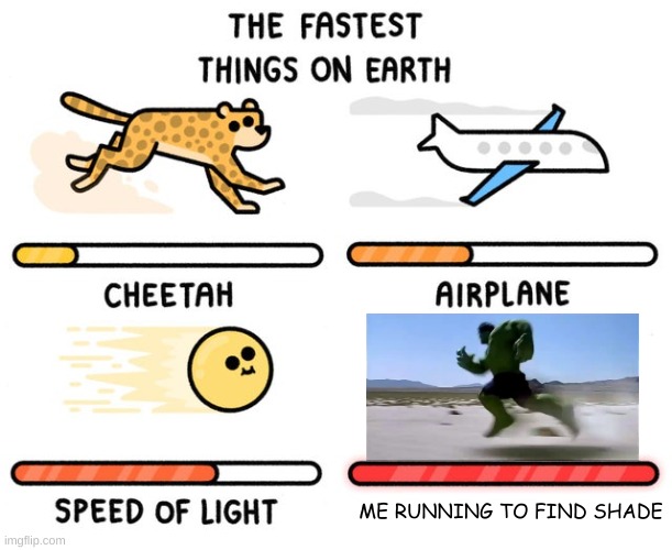 fastest thing possible | ME RUNNING TO FIND SHADE | image tagged in fastest thing possible,memes | made w/ Imgflip meme maker