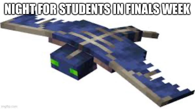 No Sleep during Finals | NIGHT FOR STUDENTS IN FINALS WEEK | image tagged in minecraft phantom,minecraft,school,funny memes,funny,memes | made w/ Imgflip meme maker
