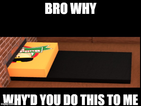 NOOOOOOOO | BRO WHY; WHY'D YOU DO THIS TO ME | image tagged in fun,roblox | made w/ Imgflip meme maker