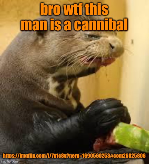 Disgusted Otter | bro wtf this man is a cannibal; https://imgflip.com/i/7u1c8y?nerp=1690560253#com26825806 | image tagged in disgusted otter | made w/ Imgflip meme maker